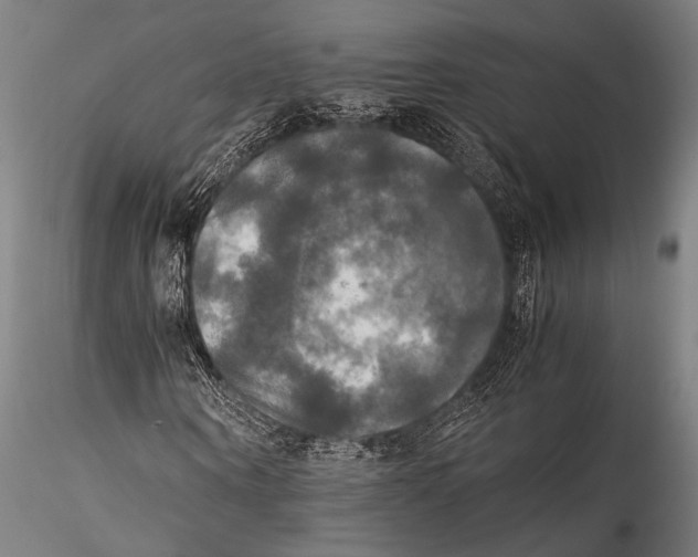 X0000115310866200911301533