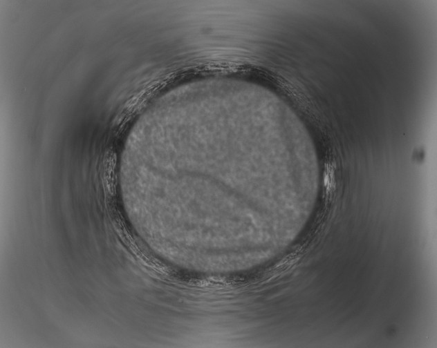 X0000115310867200911301533