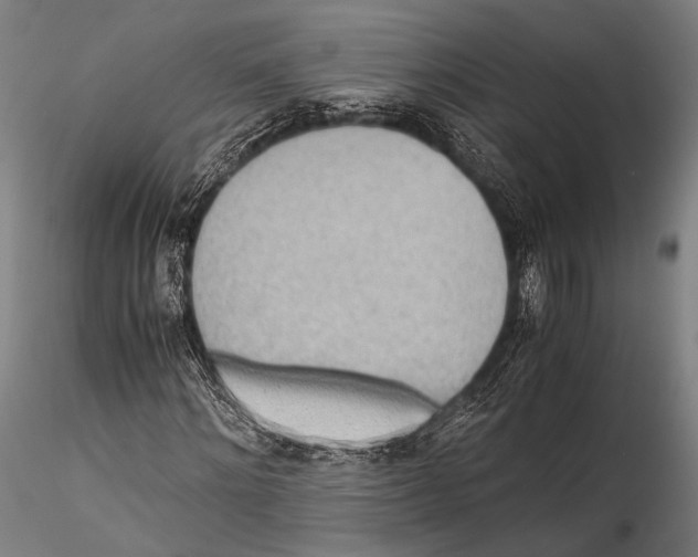 X0000115310868200911301533