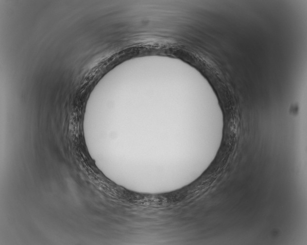 X0000115310869200911301533