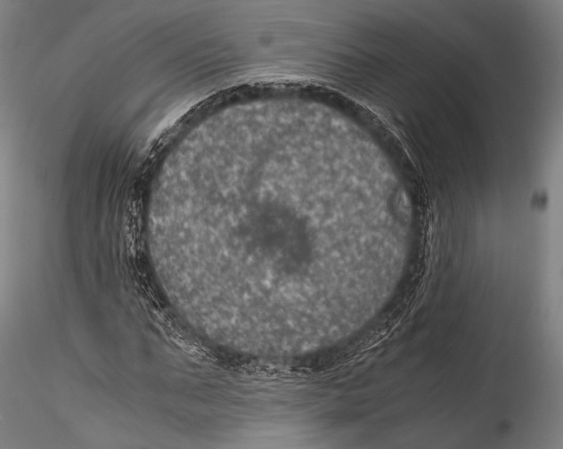 X0000115310871200911301533