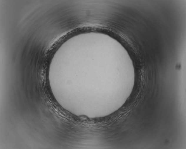 X0000115310872200911301533