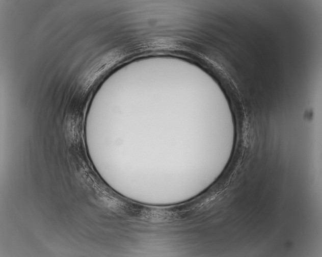 X0000115310873200911301533