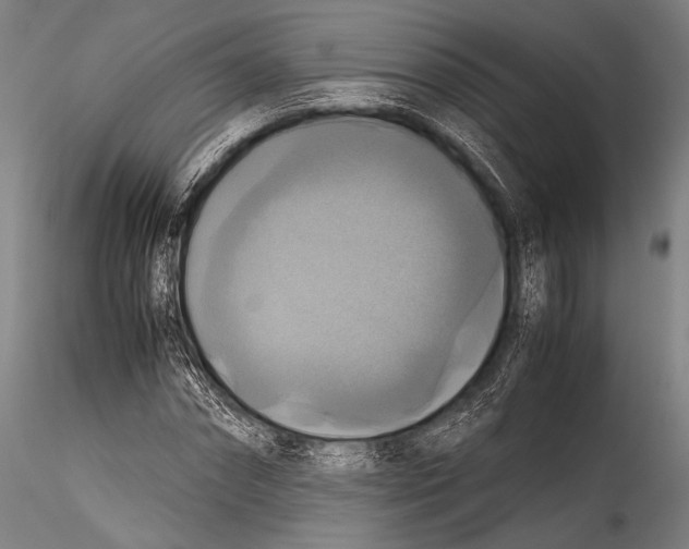 X0000115310874200911301533