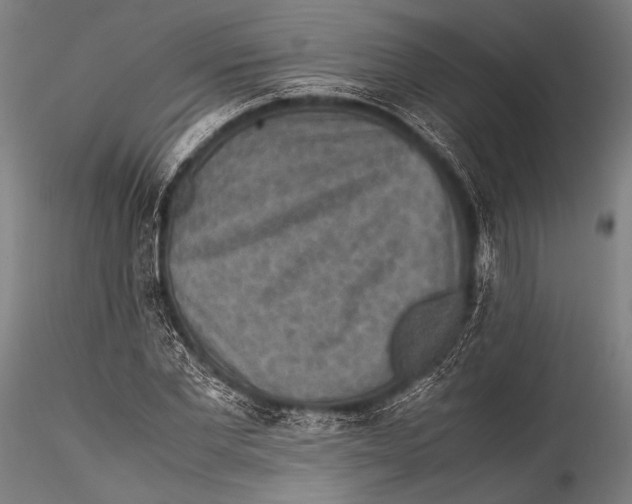 X0000115310877200911301533