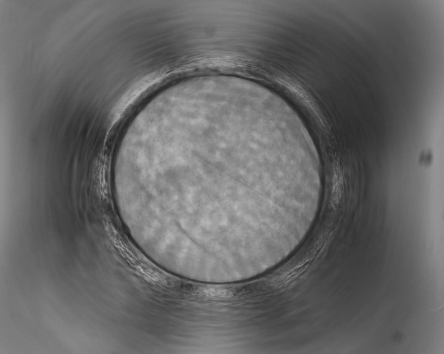 X0000115310878200911301533