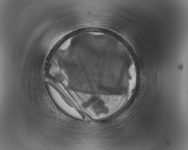 X0000115310879200911301533