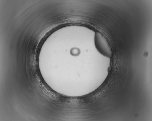 X0000115310880200911301533