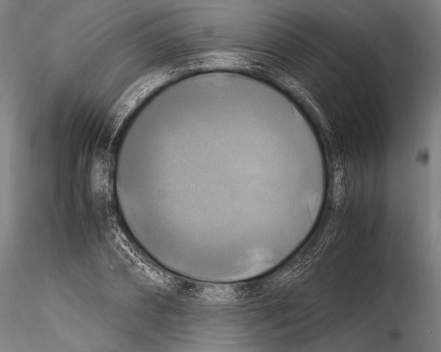 X0000115310882200911301533