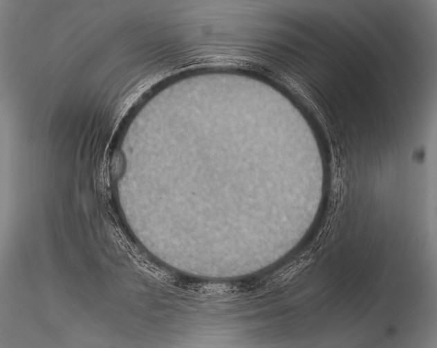 X0000115310883200911301533