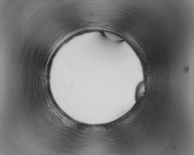 X0000115310884200911301533