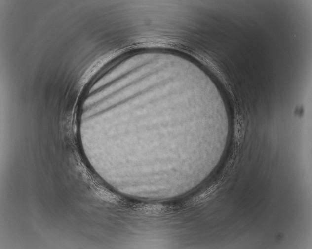 X0000115310885200911301533