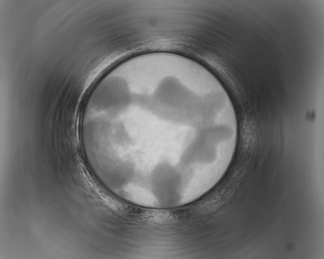 X0000115310886200911301533