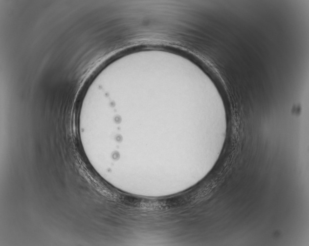 X0000115310887200911301533