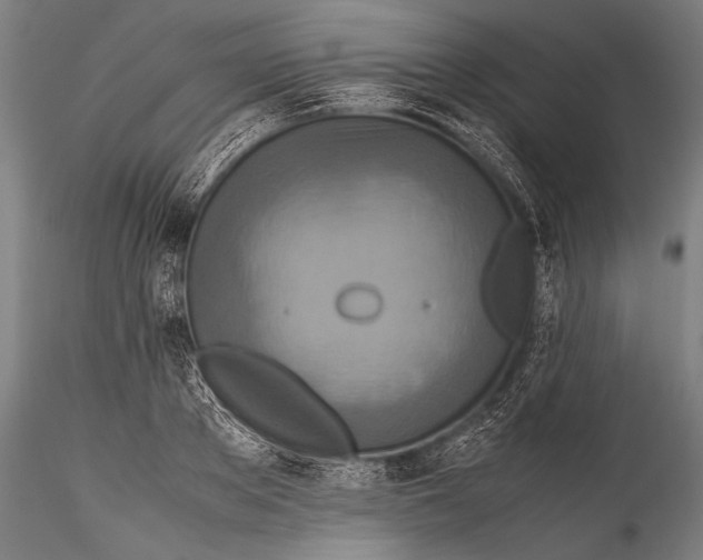 X0000115310889200911301533