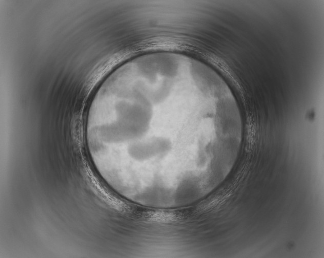 X0000115310890200911301533