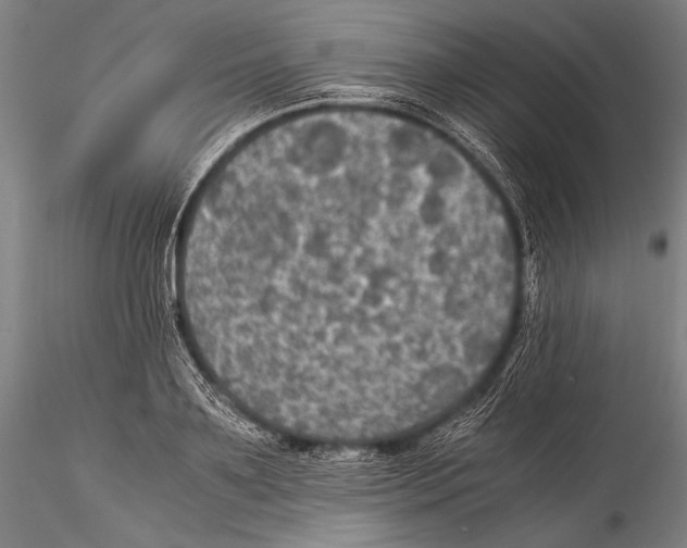 X0000115310891200911301533