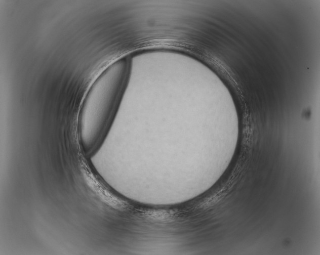 X0000115310892200911301533