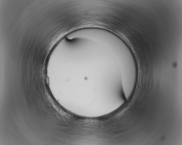 X0000115310893200911301533