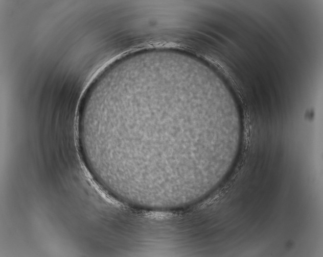 X0000115310894200911301533