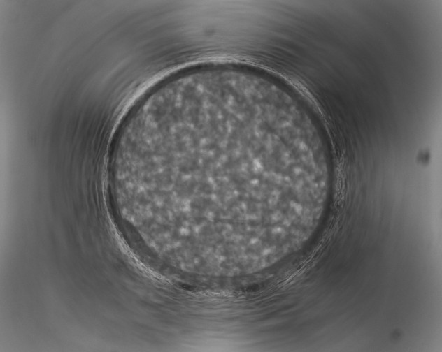 X0000115310895200911301533