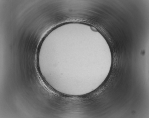 X0000115310896200911301533