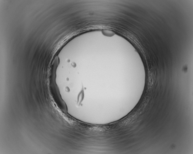 X0000115310898200911301533