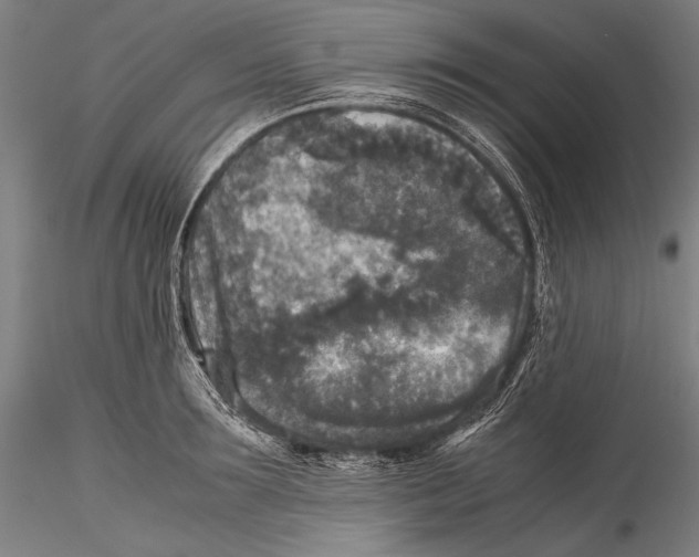 X0000115310899200911301533