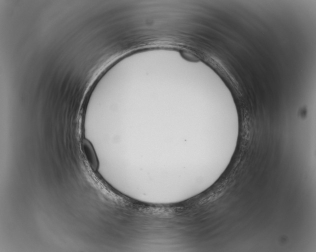 X0000115310900200911301533