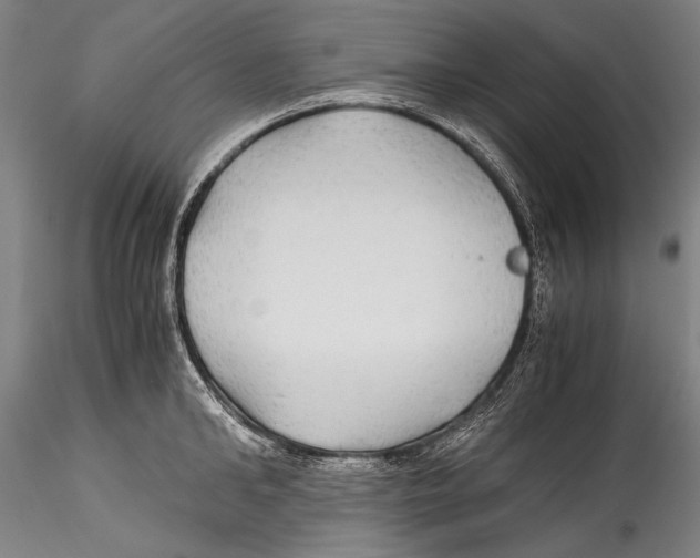 X0000115310902200911301533