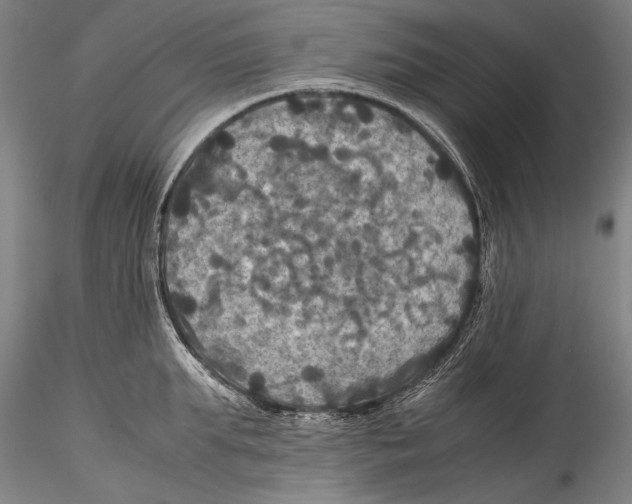 X0000115310903200911301533