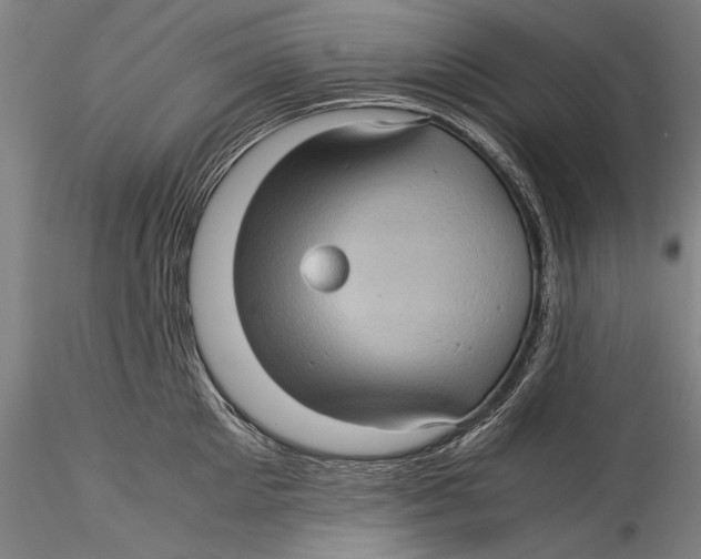 X0000115310905200911301533