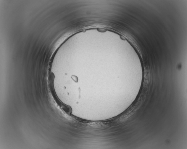 X0000115310906200911301533