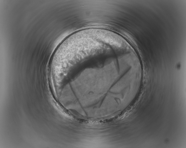 X0000115310907200911301533