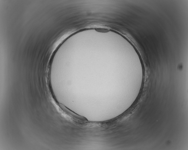 X0000115310909200911301533