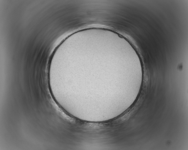 X0000115310910200911301533