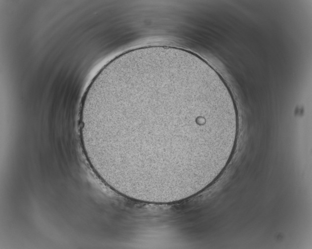 X0000115310912200911301533