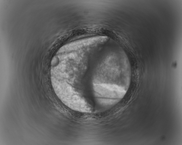 X0000115310913200911301532