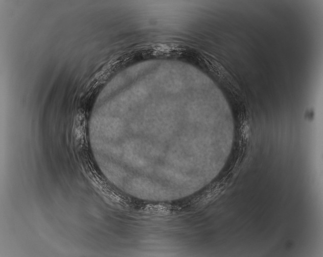 X0000115310914200911301532