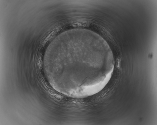 X0000115310915200911301532