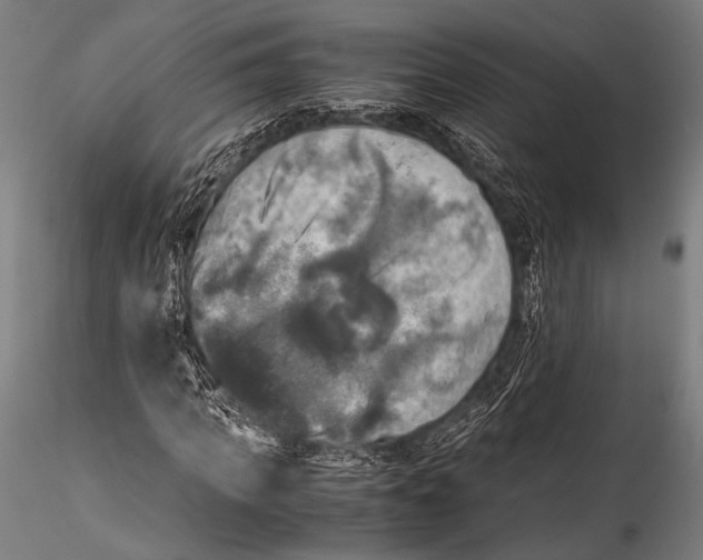 X0000115310917200911301532