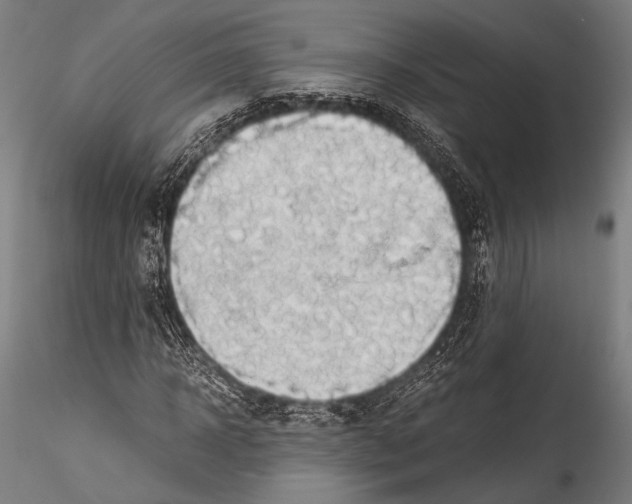 X0000115310918200911301532