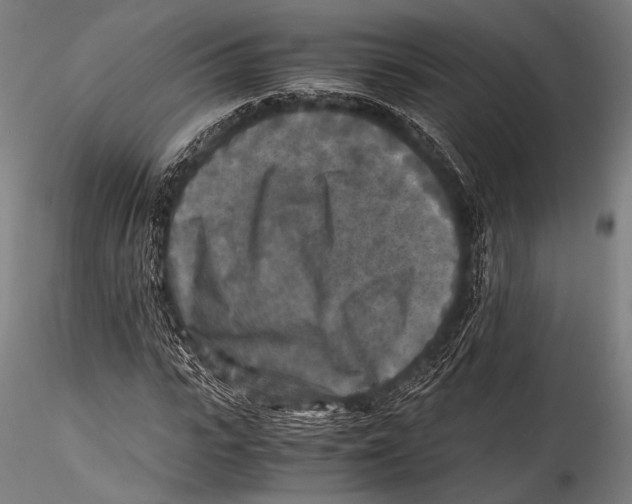 X0000115310919200911301532