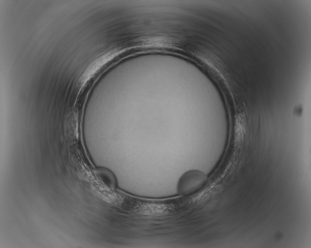 X0000115310925200911301532