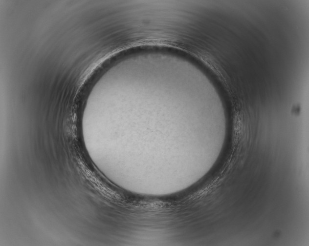 X0000115310926200911301532