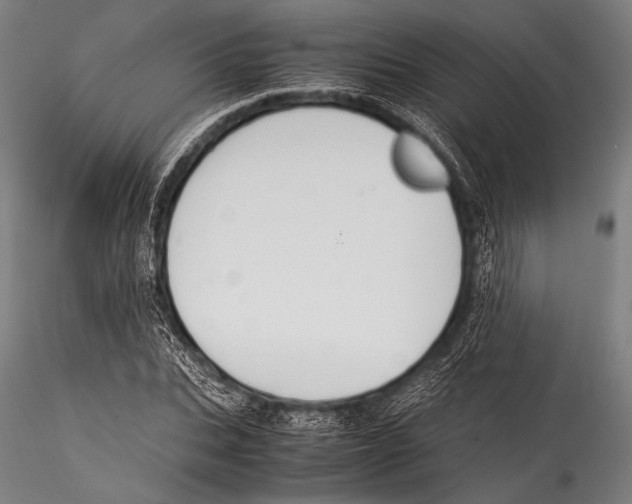 X0000115310927200911301532