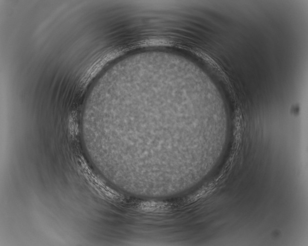 X0000115310929200911301532