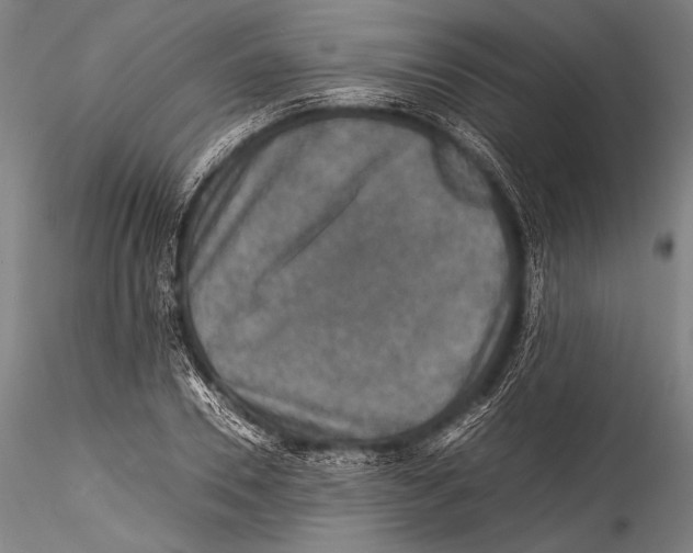 X0000115310930200911301532