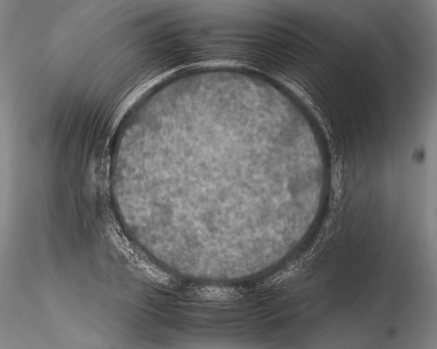 X0000115310933200911301532