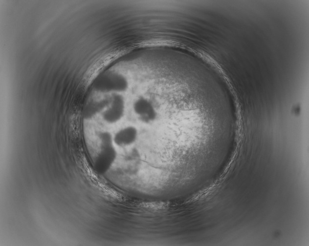 X0000115310937200911301532